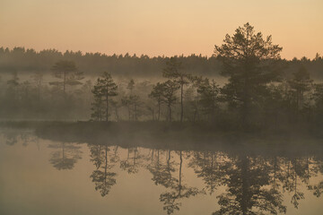 sunrise dawn on the swamp. Reflections of trees in lakes. Sunset, warm light and fog. Viru swamps...