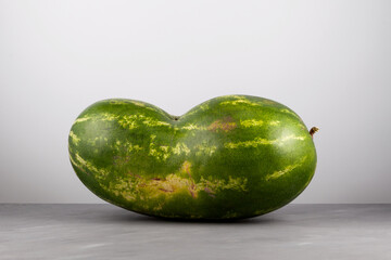 Deformed ugly watermelon. Double conjoined watermelon. Concept - Food waste reduction. Eating...