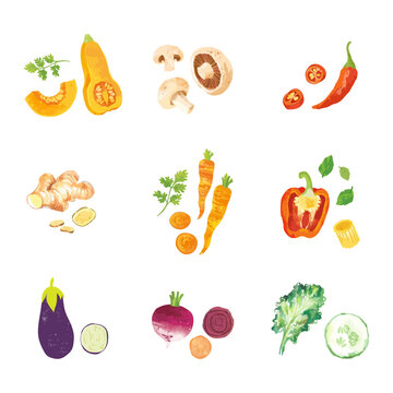 Set of watercolor vegetables. Template for design. Vector illustration.
