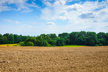 Plowed agricultural field after harvest, sky clouds and trees in the background.Rural landscape with plowed,cultivated field.A forest of a mixed trees behind the field.