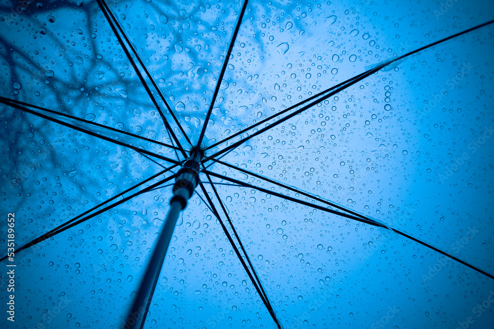 Canvas Prints umbrella in the rain, Raindrops fall on clear umbrellas, heavy rain thunderstorm