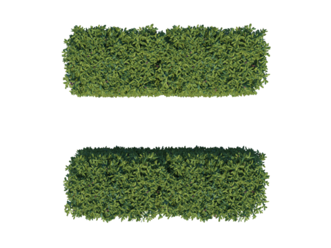 Cherry Laurel bush png with alpha channel 