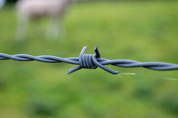 barbed wire fence