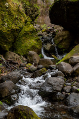 The Levada do Moinho to Levada Nova waterfall hike	