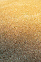 vertical food background with ripe wheat grains