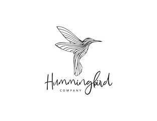 Handdrawn hummingbird logo design vector