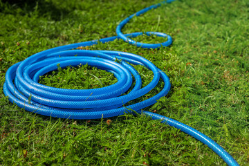 Blue watering hose on green grass outdoors