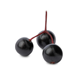 Delicious ripe black elderberries isolated on white