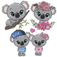 Cute Cartoon koalas isolated on a white background