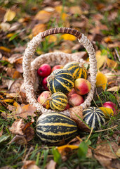 basket with pumpkins and apples close-up