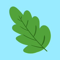 Oak leaf, illustration, vector, cartoon
