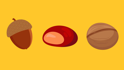 Acorn, chestnut and walnut, illustrations, vector