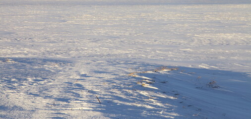 Snow on endless field at winter outdoor