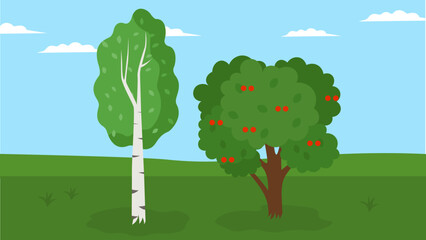 Birch and apple tree grow in the field