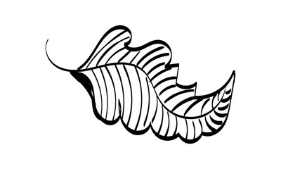 Autumn Leaf Design. Season nature ornament garden decoration. Idea for picture in frame, ornament, autumn holidays. Isolated vector illustrations with white backgrounds. Logo, icons, decoration.