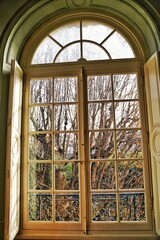 Autumn in Paris (France) - Powerfull colors in trees and leaves