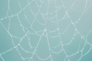 raindrops on the spider web in rainy days, blue background