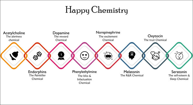 Types Of Happy Chemistry and it's details with icons in an infographic template