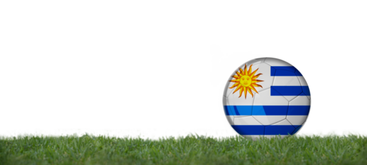 Soccer ball with uruguay flag on grass, copy space with white background.