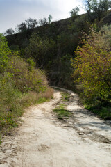 Path in the mountain bush. Path leading to hills and slopes