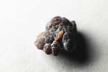 Kidney stone, intact, formed in an alkaline environment in the kidneys after ESWL intervention or...
