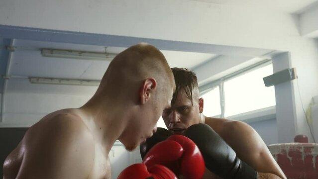 Boxing sparring, two male boxers training punches in ring, close up slow motion. Muscular fighters practicing hit and defense, exercising for fight championship