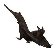 Fototapeta premium Halloween Vampire Bat on PNG Transparent Background