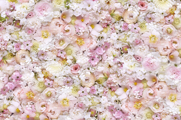 Delicate blooming festive roses and light pink flowers, blossoming rose flower soft pastel background, wedding bouquet floral card, flowerwall image