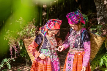 Wall murals Mu Cang Chai People H'mong ethnic minority with colorful costume dress walking in bamboo forest in Mu Cang Chai, Yen Bai province, Vietnam. Vietnamese bamboo woods. High trees in the forest