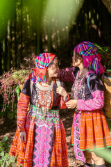 Fototapeta premium People H'mong ethnic minority with colorful costume dress walking in bamboo forest in Mu Cang Chai, Yen Bai province, Vietnam. Vietnamese bamboo woods. High trees in the forest