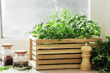 composition of fresh herbs in a basket on the kitchen windowsill, with spices.