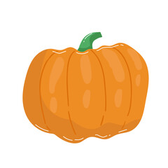Orange pumpkin vector illustration. Autumn halloween pumpkin, vegetable graphic icon or print, isolated on white background.