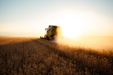 Combine harvester at gold light in agriculture fields with wheat