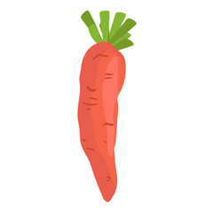 Carrot flat icon isolated on white. hand drawing