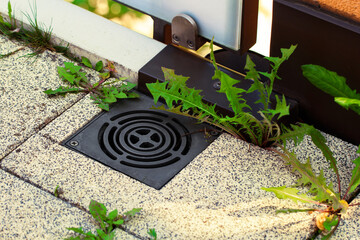 Balcony steel drain hole mesh and green leaves. Black metal Drainage grate for draining, directing...