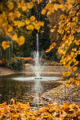 a fountain in a middle of a pond in a park with birch foliage in a foreground
