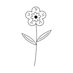 Hand drawn flower in line art doodle style. Botanical decorative element.