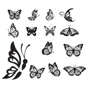 Silhouettes of butterflies. Black pictures of butterflies. Insect butterfly black silhouette, winged gorgeous animal, vector illustration