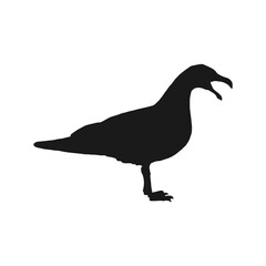 Silhouette of flying seagulls. Hand drawn illustration converted to vector.