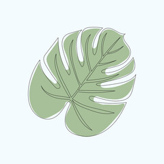 Monstera leaves vector line art drawing and illustration 