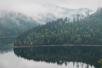Rainy and foggy morning at the Sance Dam. Reflection of deciduous forest on the water surface. Autumn weather. Beskydy mountains, Czech republic. Green colour