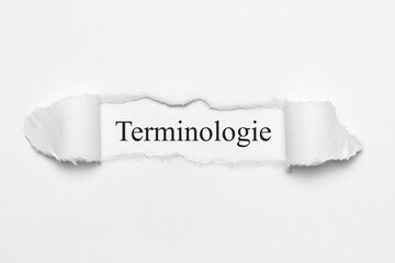 Terminologie