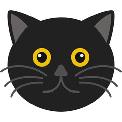 Cat Which Can Easily Modify Or Edit
