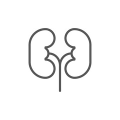 Kidney icon vector. Urology logo design template. Human nephron organ, kidneys icon