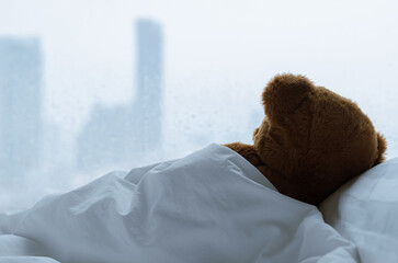 Teddy bear sleeping alone on bed with white pillow and blanket facing to window with rain drop in...