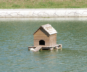 duck home  in city park at dry sunny summer day