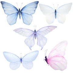 Watercolor illustration of tender pink and blue butterflies isolated