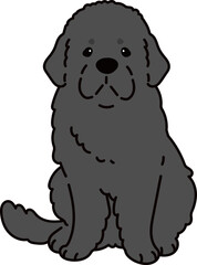 Simple and adorable Newfoundland dog illustration sitting in front view