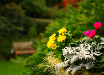 Gartenidylle   im herbst