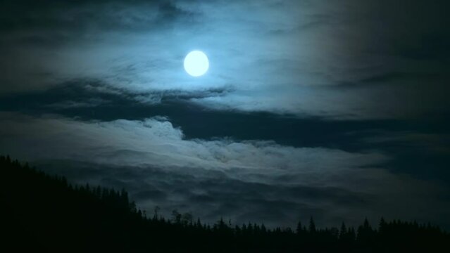 Moon dark night evening clouds forest mountains full mist halloween